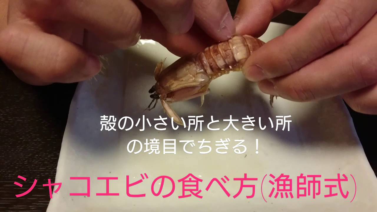 シャコエビの食べ方 漁師式 Youtube