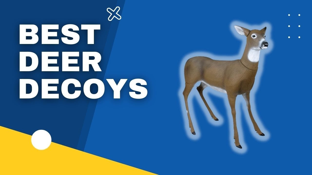Top 3 Best Deer Decoys in 2023