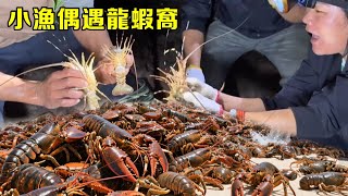 小漁深夜無人島趕海發大財，遍地辣螺無人撿，竟還偶遇龍蝦窩【漁小仙】
