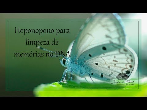 Ho'oponopono Limpeza de memórias no DNA - Reprograme-se