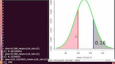 FunctionsRwithPics.ogv