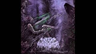 Infant Annihilator - Soil The Stillborn (audio HD)