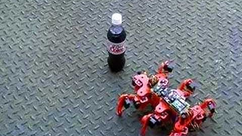 Hexapod Robot