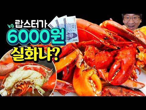 가장 저렴한 랍스터를 사왔습니다. 솔직한 후기(Korea&rsquo;s cheapest lobster)