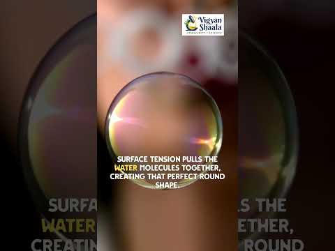 Science in Seconds