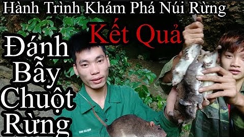 Hành Trình Khám Phá Núi Rừng | Kết Quả Đánh Bẫy Chuột Rừng Bằng Cạm Sắt #1