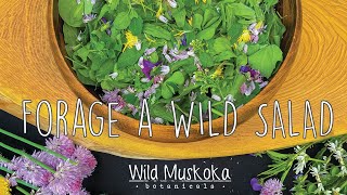 Wild Foraged Salad from Your Own Backyard ~ Rosehip Infused Vinegar & Wild Plants