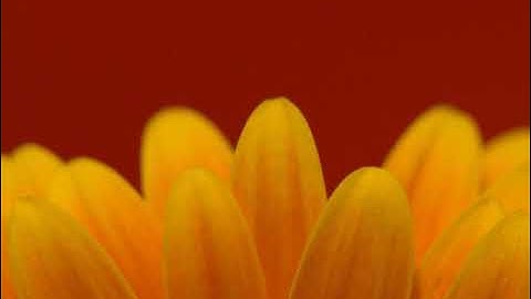 ماتيسر من سورة يوسف بصوت القارئ عبد العاطي ناصف