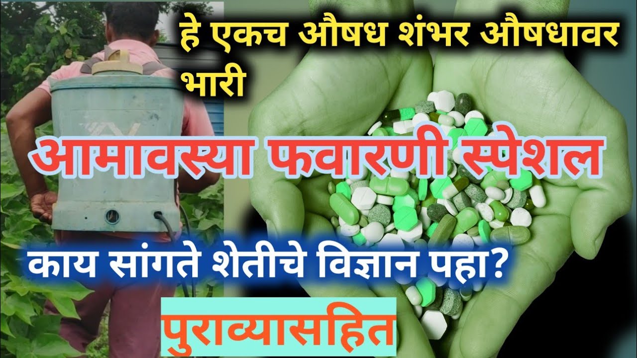 आमावस्याला फवारणी कोणती व का घ्यावी? काय सांगते शेतीचे विज्ञान?यामुळे फवारणीचा खर्च होईल झिरो