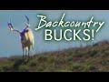 INTENSE! Backpack bow hunting high country deer (Eastmans' Hunting TV)