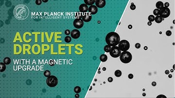 Active Droplets with a Magnetic Upgrade