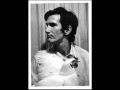 Townes Van Zandt - Talking Thunderbird Blues