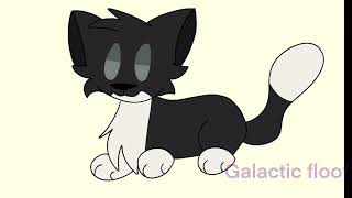 Maxwell cat