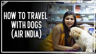 how can i take my dog to usa from india