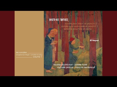 Ver Violin Sonata No. 2 in E Major: II. Vif en YouTube