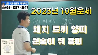[2023년10월운세]2023년 10월 띠별 간단 운세(돼지 토끼 양띠 원숭이 쥐 용띠)#12신살 #12운성…
