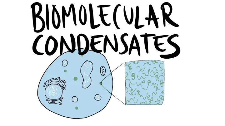 A quick intro to Biomolecular Condensates - DayDayNews