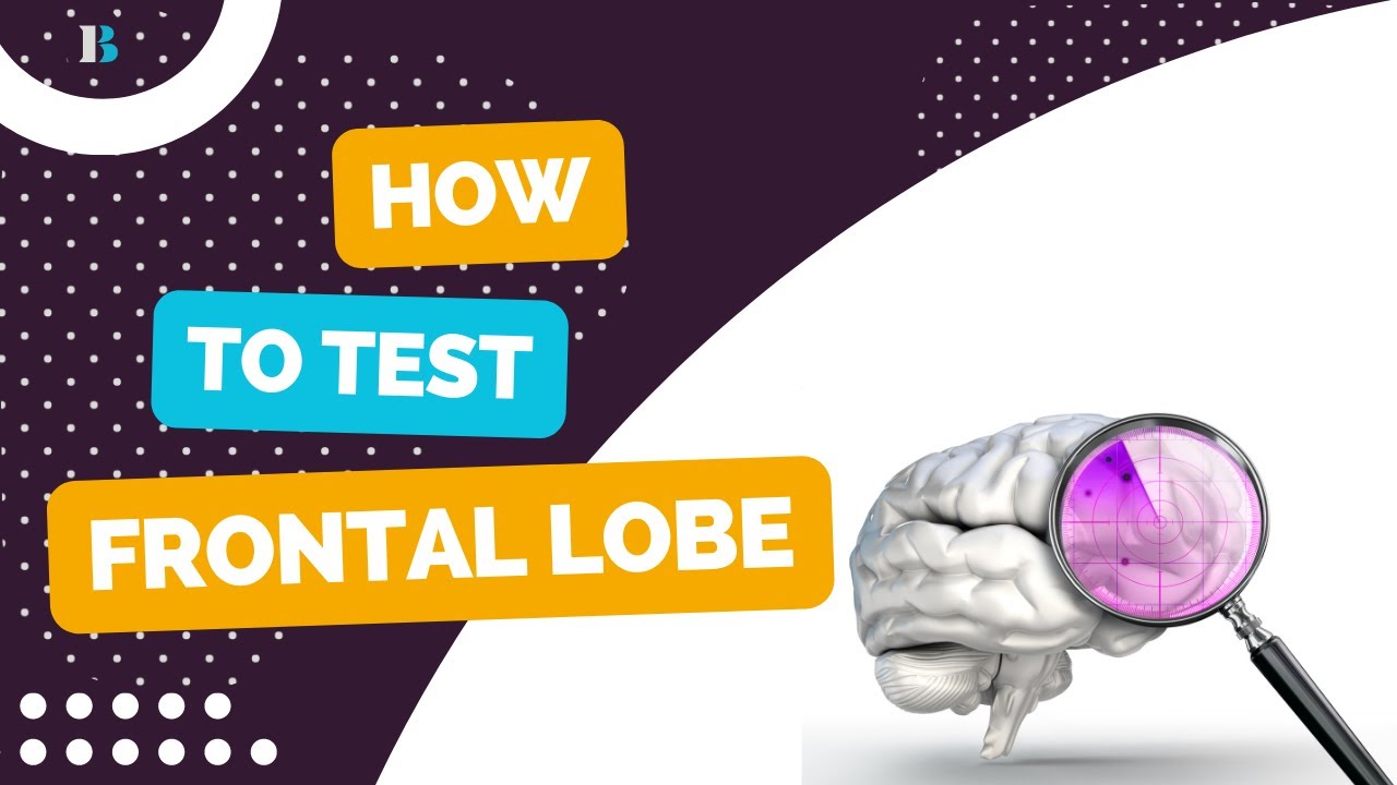 Unlocking the Mysteries of the Brain How to Test Frontal Lobe Function