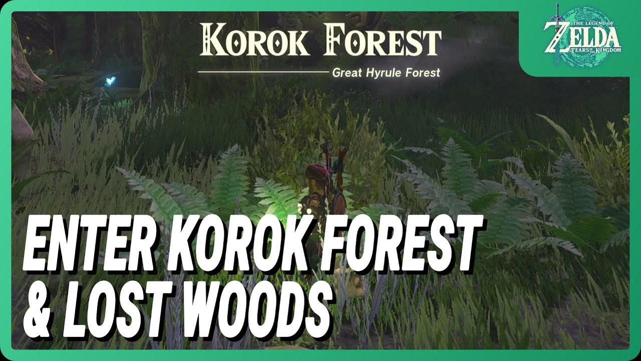 Zelda: Breath of the Wild - Lost Woods route directions and how to reach  Korok Forest