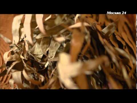 Фитнес клуб Максима , Барнаул. Фитнес клуб Максима , Барнаул.