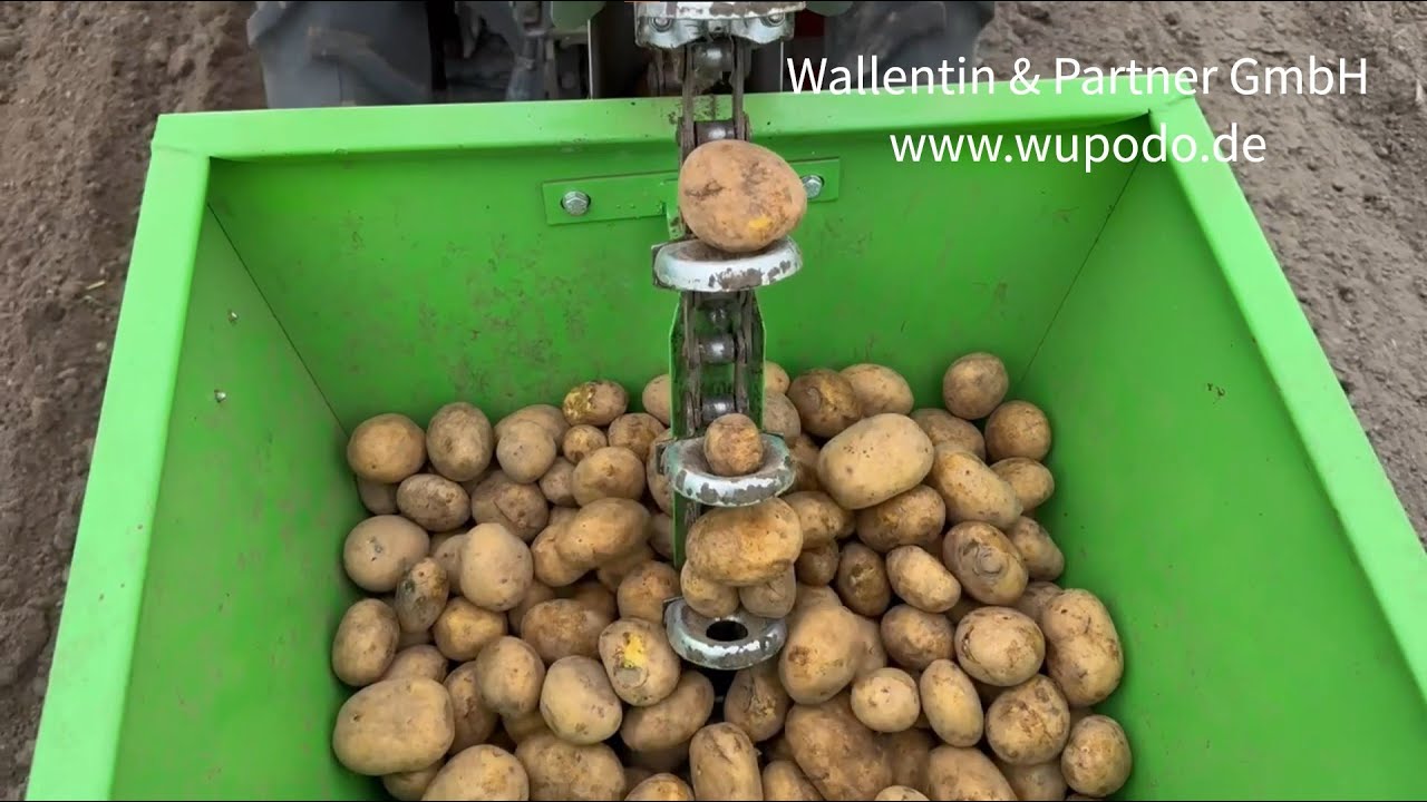 Kartoffellegemaschine 1-reihig 🥔 mit Kubota Traktor B2420 🚜 Kartoffeln pflanzen Kartoffeln setzen 🌱💪