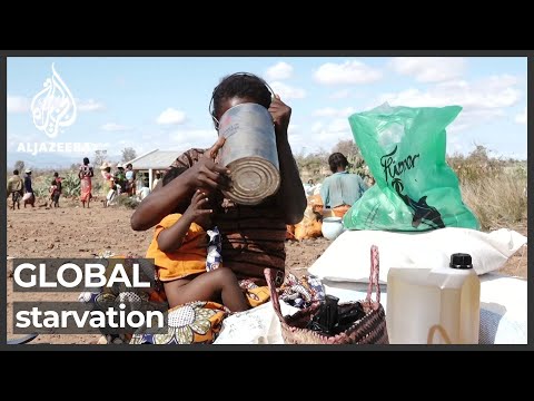Video: Hvor er det områder med underernæring i verden?