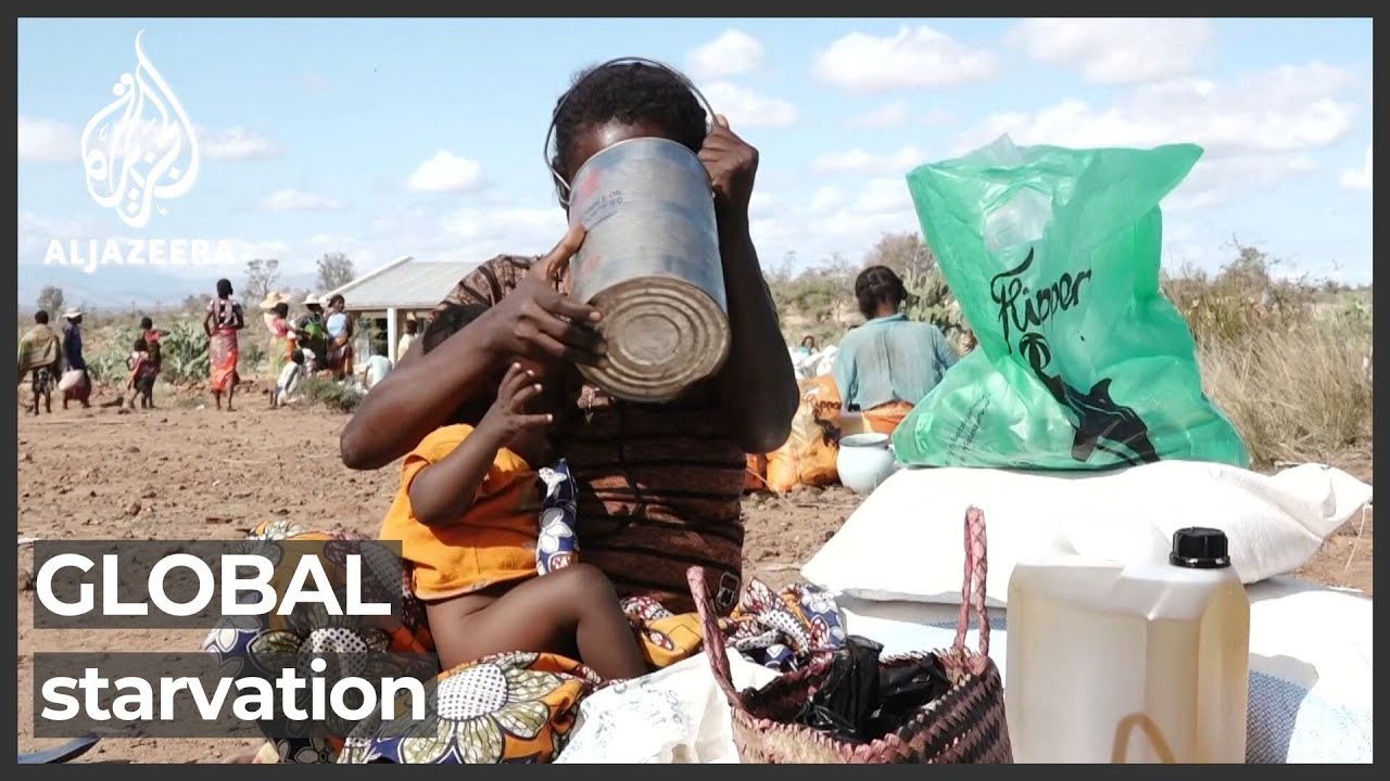 الأمم المتحدة: عُشر سكان العالم يعانون من سوء التغذية