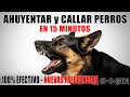 SONIDO PARA AHUYENTAR Y CALLAR PERROS 🚫🐶 REPELENTE ULTRASÓNICO 100% EFECTIVO