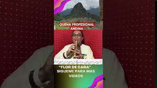 La Magia de la Quena en Vivo. Quena Andina de Bambú #flute #quena #músicaandina #musica #concierto