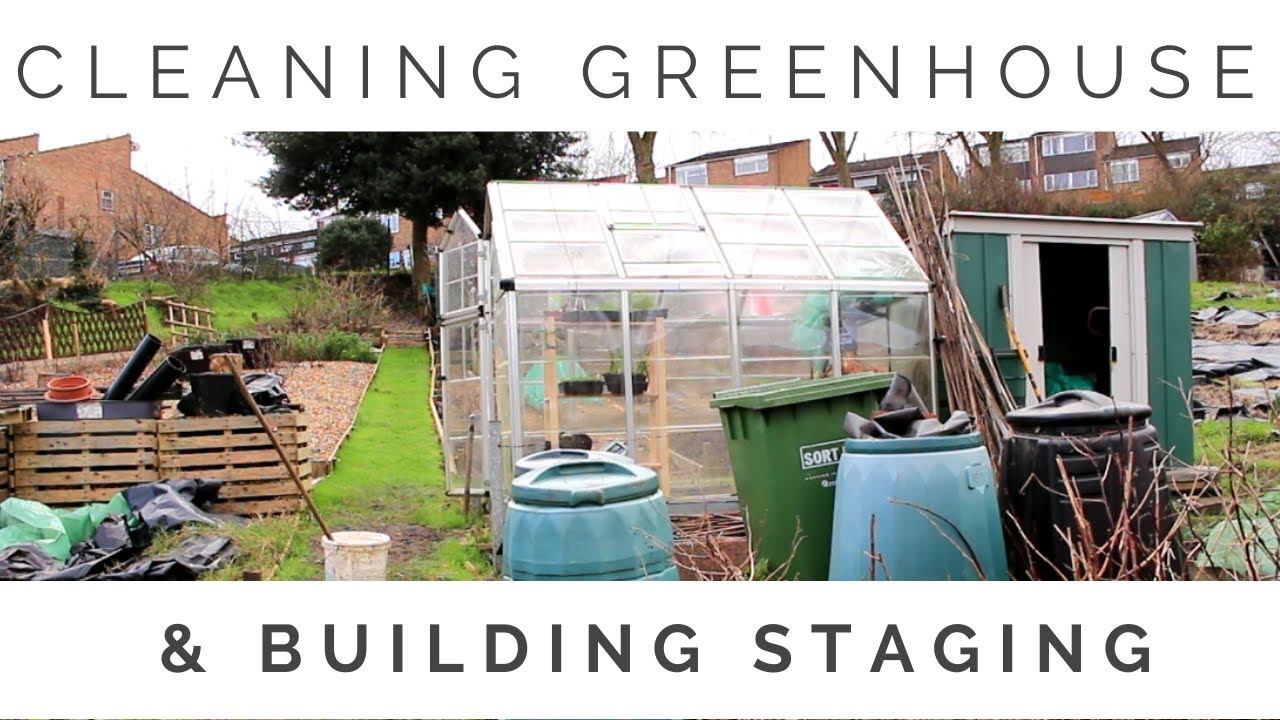Cleaning the Greenhouse and Putting Up Staging YouTube
