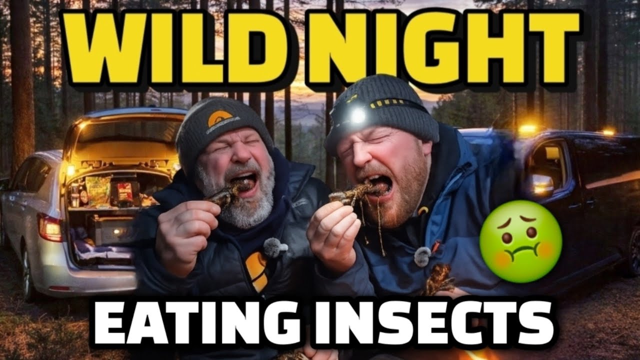 Экстремальный кемпинг в машине и дегустация насекомых... Вы бы рискнули?