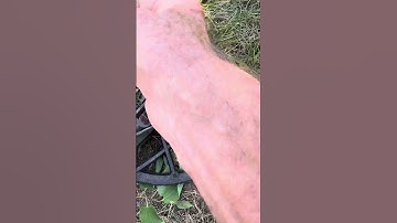 Minelab Manticore tiny piece of brass 5” deep