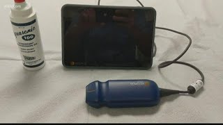 Usc Using Ultra Sound Devices To Diagnose Virus