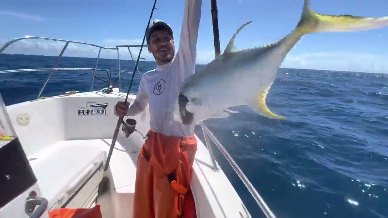 PESCARIA ALTO MAR PEIXE SEM PARAR NO FINAL DA TARDE!