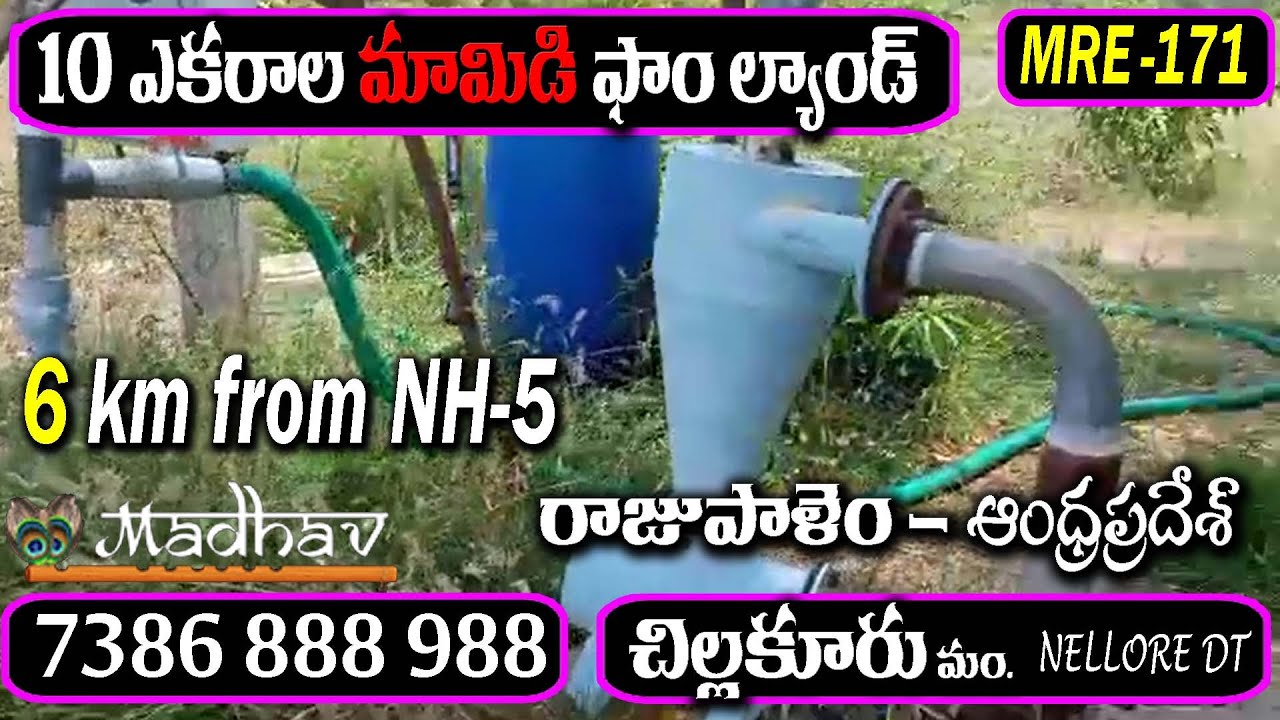 10 ACRES MANGO FARM LAND FOR SALE 6 Km FROM NH 5CHILLAKUR RAJUPALEM