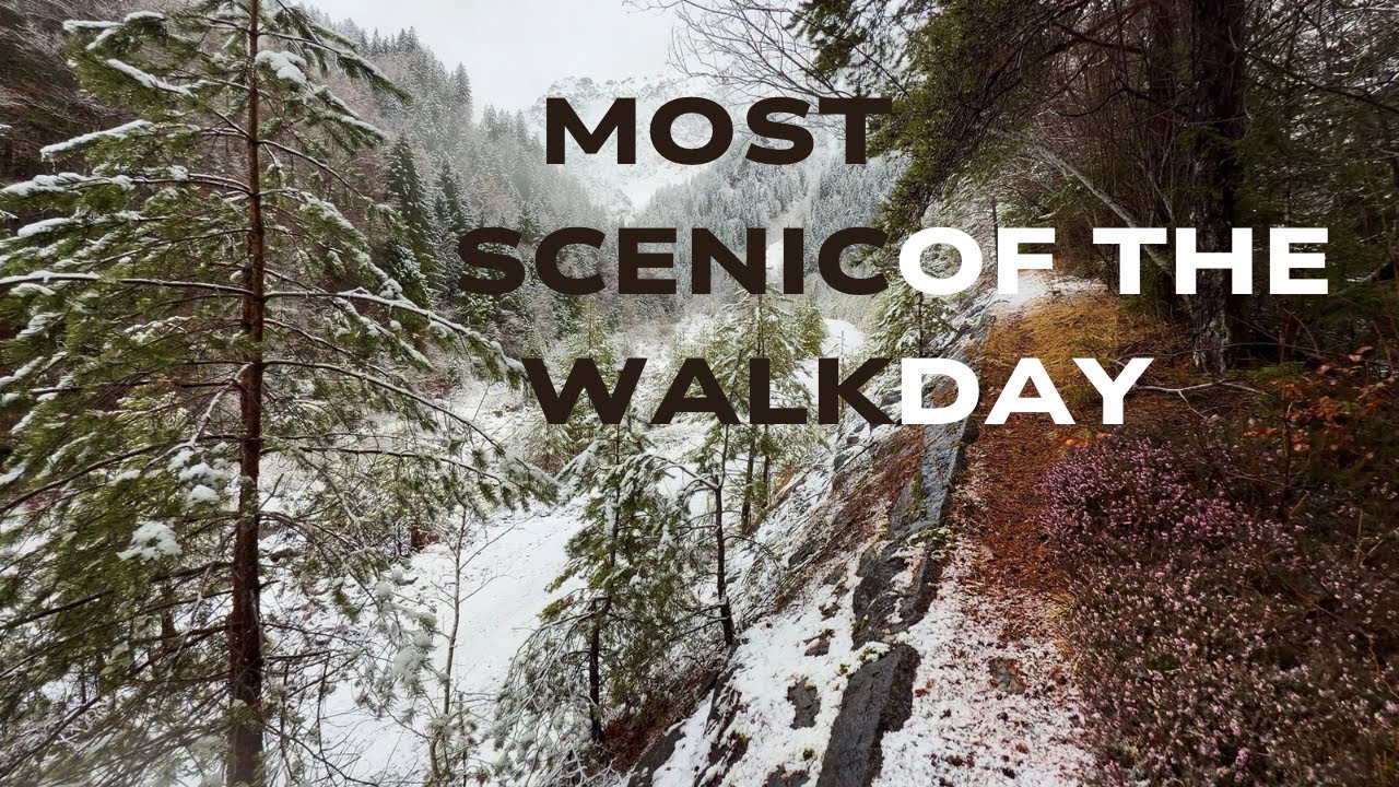 Crunching Snow ASMR | Serene Austrian Forest Winter Walk 4K