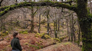 visiting Scotland's RAINFOREST \& a huge sea loch | Scotland's West Coast