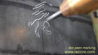 RECI LASER ---dot pin marking lion