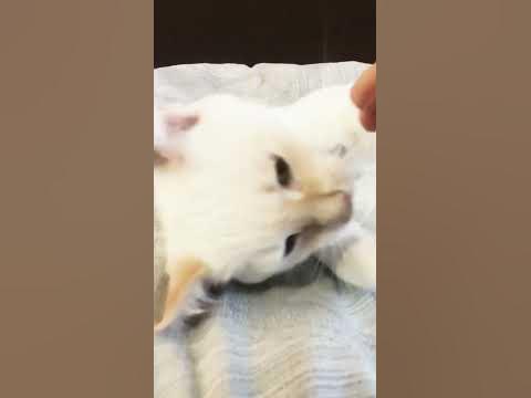 Мик,мик,мик. - YouTube