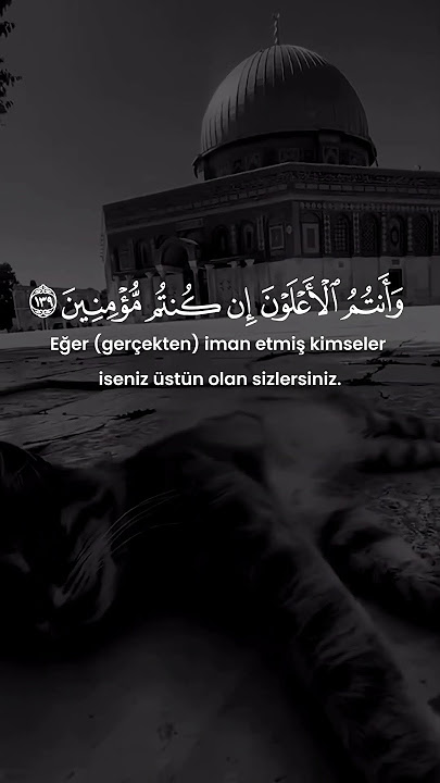 Ali İmran Suresi 139. Ayet ~ Muhammed Luhaidan