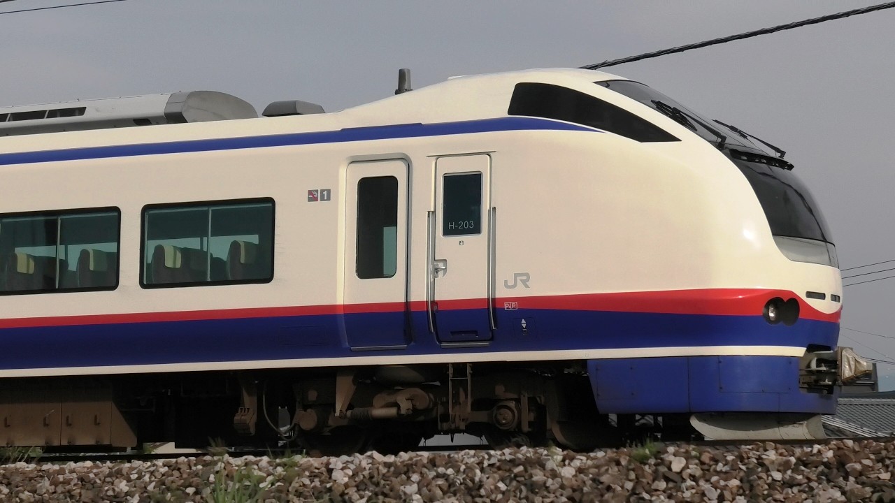 特急しらゆき8号【4K】E653系H203編成信越本線上り58M - YouTube