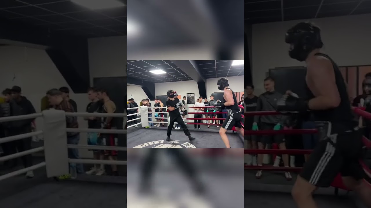 Tag a Boxer With a Good Jab #shorts