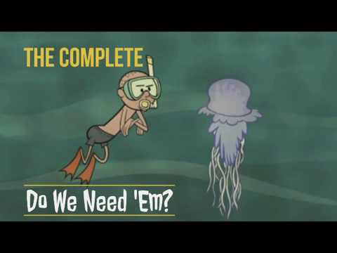 The Complete Do We Need Em From Karl Pilkington Compilation With Ricky Gervais Steve Merchant