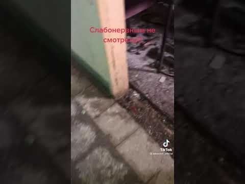 Гимназия 175 .Казань