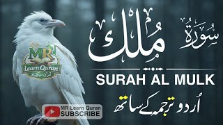 Surah Al-Mulk سورة الملك | Heart-Calming Recitation for Protection, Peace &amp; Night | Qari Mansoor 
