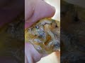 Beautiful Backlit Agates! Agate Motherlode Episode 9 Part 8 #shorts