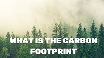 Understanding Your Carbon Footprint