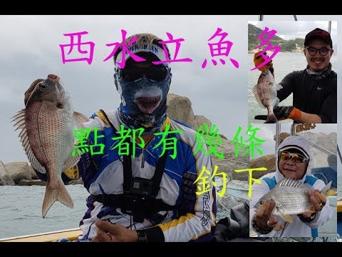 【香港釣魚】《長洲華貴艇桂山釣立魚》