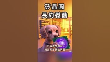 矽晶圓長約鬆動 #shorts