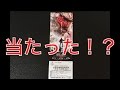 【当選】特別前売り券が当たった！？【進撃の巨人 ATTACK ON TITAN】